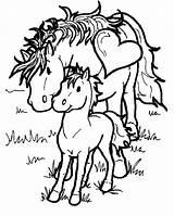 Dibujos Potrillos Horses sketch template