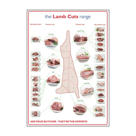 butchers lamb prime cuts  meat laminated poster