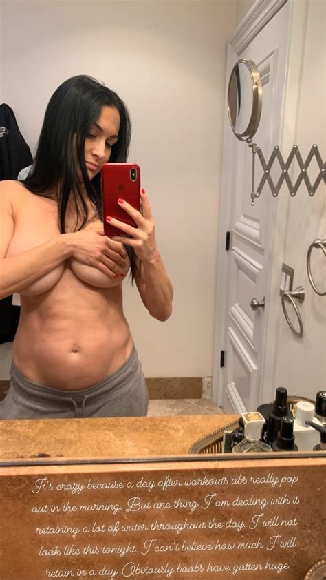 Wwe Star Nikki Bella Shares A Shirtless Mirror Selfie