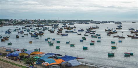 unsustainable fishing practices   threat  indias marine resources benison media