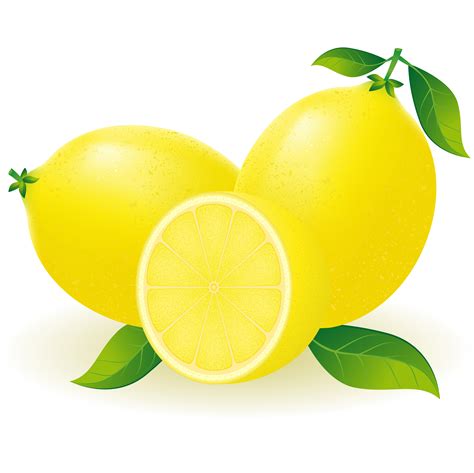 lemon vector illustration  vector art  vecteezy