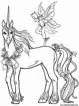 Coloring Unicorn Pages Unicorns Colouring Printable Color Kids Sheet Print Book Drawing sketch template