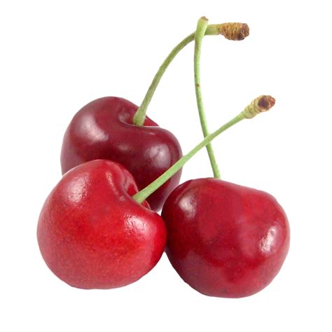 cherries png image purepng  transparent cc png image library