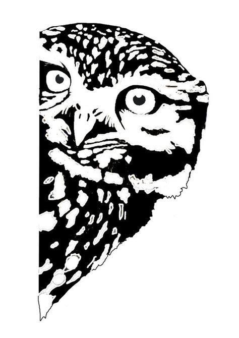 owl stencil google search vinyl pinterest owl stencil