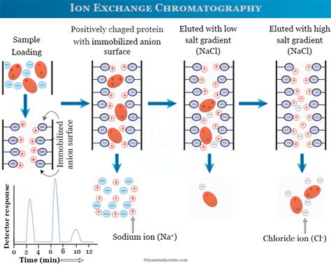 ion exchange chromatography design talk