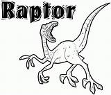 Velociraptor Coloring Pages Raptor Dinosaur Kids Print Printable Colouring Dinosaurs Sheets Popular Tsgos Animal sketch template