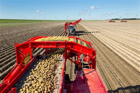 meer afzet maar minder omzet en winst hzpc boerderij