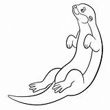 Otter Nutria Schattige Zwemt Kleurplaten Lontra Stockillustratie sketch template