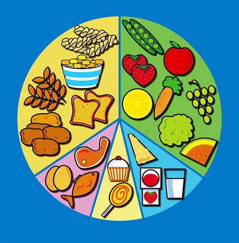 balanced diet balanced diet healthy diet tips healthy diet