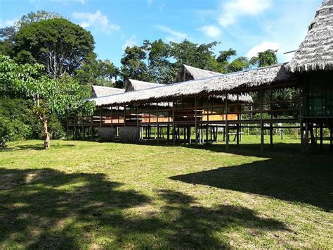 amazon yanayacu lodge updated  prices yanayacu timicuro peru