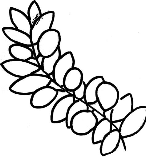 tree branches coloring pages clipart