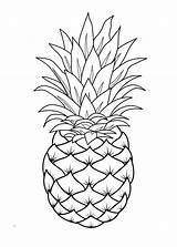 Colorir Abacaxi Pineapple Ananas Fruit Rei Morango Obst sketch template