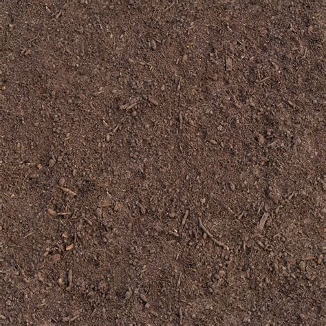 schimba hainele pardesiu cereale ground seamless texture sampon