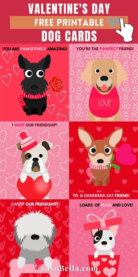 dog valentines day cards  printable video video