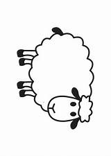 Coloring Sheets Sheep Crafts Schaapjes Pages sketch template