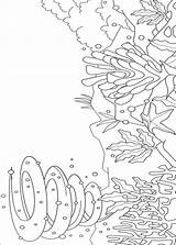 Kleurplaat Zee Mooiste Regenbogenfisch Colorat Peixe Arco Dibujos Disegni Arcobaleno Colorare Coloring Cielo Desene Curcubeu Imagini Coloriages Planse Malvorlagen Natuur sketch template