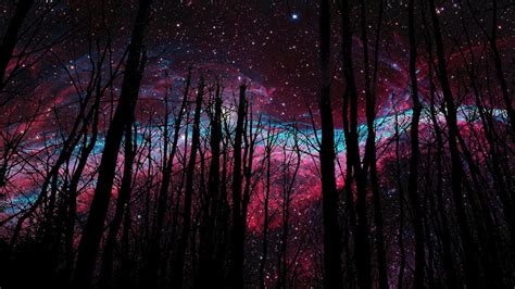 cosmic forest    rwallpaper