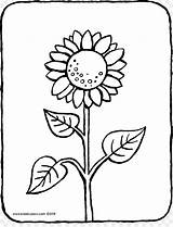 Mewarnai Colorir Girassol Matahari Sunflower Img2 Pngdownload Colouring Comum Paginas Livro sketch template