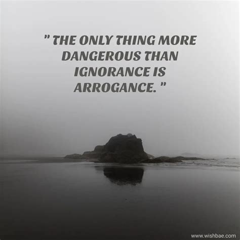 Arrogance Quotes And Sayings About Arrogant People Wishbae