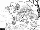 Mythical Mythological Griffin Fantastiques Griffon Lineart Sketch sketch template