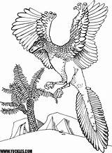 Archaeopteryx Coloring Designlooter sketch template