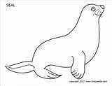 Seal Printable Coloring Pages Animal Templates Firstpalette Kids Print Winter Animals Pre sketch template