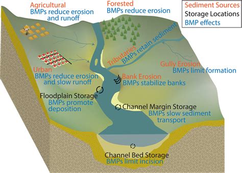 sediment dynamics  implications  management state   science  longterm research