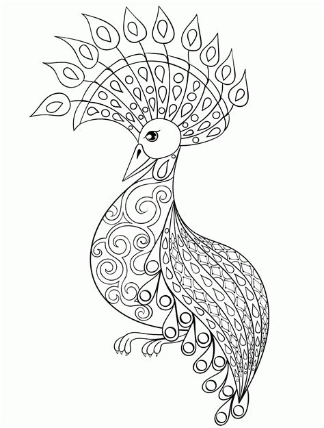 cool coloring pages  adults peacock coloring home