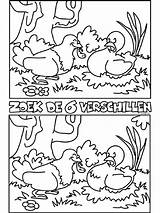 Verschillen Zoek sketch template