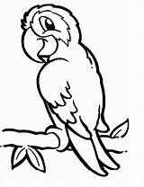 Parrot Coloring Pages Printable Print Coloringbay sketch template
