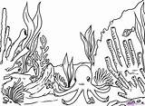 Reef Coral Drawing Line Coloring Pages Ocean Kids Draw sketch template