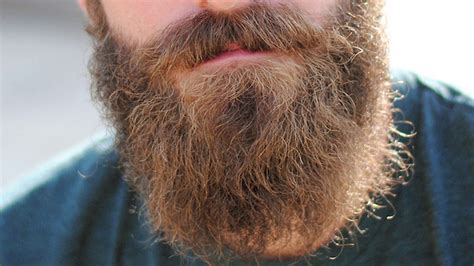 laissez pousser vos barbes le statut de la barbe en islam havre