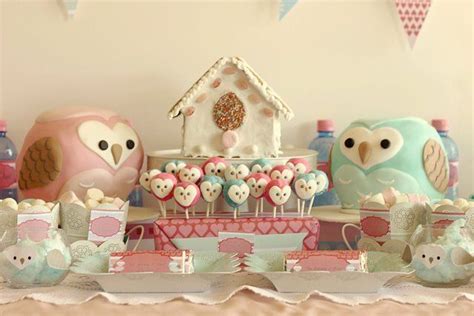 owl party owl themed parties owl parties owl birthday parties st