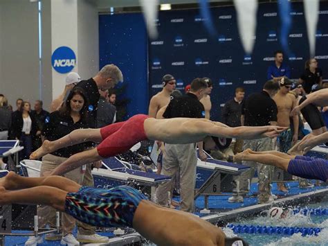 campus  swimmer liam picozzis season cut short