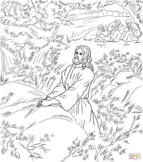 jesus prays   garden  gethsemane disciples sleeping coloring