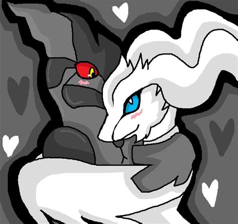 reshiram x zekrom pokemon couples pinterest