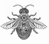 Zentangle Bee Drawing Animals Botanical Tattoo Insect Rosalind Monks Emily Brooks Mandala Insects Bees Illustration Animal Outline Craftwhack Patterns Tattoos sketch template