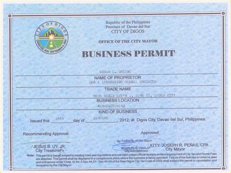 business license template templates printable