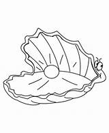 Printable Ostrica Colorare Mollusks Schelp Bambini sketch template