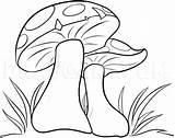 Mushroom Mushrooms Shrooms Dragoart Pilze для нарисовать Pencil Getdrawings карандашом грибы sketch template