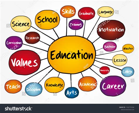 education mind map flowchart concept  stock vector