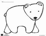 Bear Polar Outline Coloring Printables Brown Printable Template Preschool Pages Simple Worksheets Pattern Head Templates Drawing Bears Animals Kids Animal sketch template