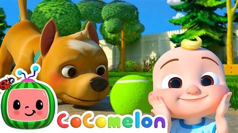 dog song cocomelon furry friends animals  kids youtube