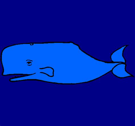 colored page blue whale painted  mathias