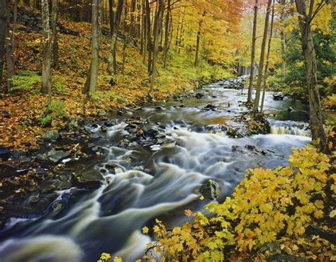 top ways  explore green mountain national forest getaway vacations