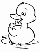 Duck Coloring Pages Cute Drawing Baby Little Duckling Ducks Cartoon Kids Ducklings Oregon Line Netart Ugly Print Color Printable Donald sketch template