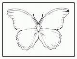Coloring Butterfly Outline Pages Printable Morpho Para Blue Coloringhome Templates Butterflies Kids Colorear Desenhos Popular Drawing Source Desenho Library Clipart sketch template