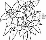 Color Number Pages Coloring Hard Really Key Getcolorings Numbers Flower sketch template