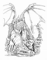 Drachen Bestien Entspannende Dragons Colouring Feen Fairies Beasts Drus Relieving Smaug Hobbit sketch template