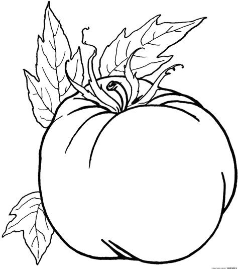 vegetable coloring pages food coloring pages coloring pages